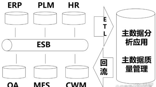 數(shù)據(jù)治理框架下的主數(shù)據(jù)管理與高效數(shù)據(jù)處理